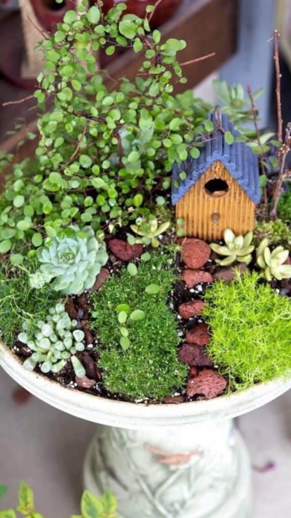 How to Make a Succulent Fairy Garden in As Little as 2 Hours ...