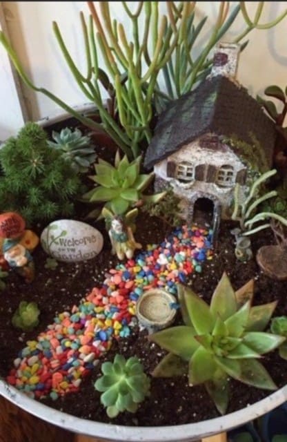 How to Make a Succulent Fairy Garden in As Little as 2 Hours ...