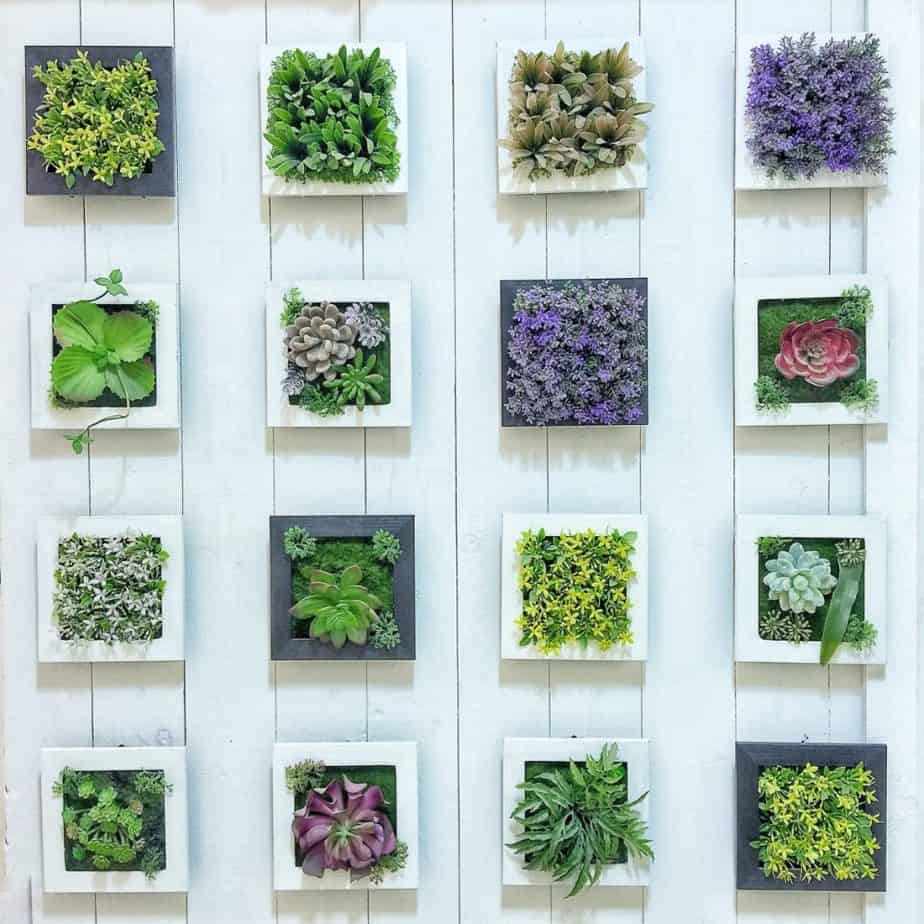 How to Make a Succulent Fairy Garden in As Little as 2 Hours ...