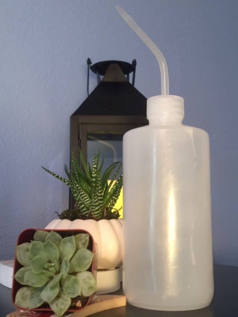 watering-drip-bottle